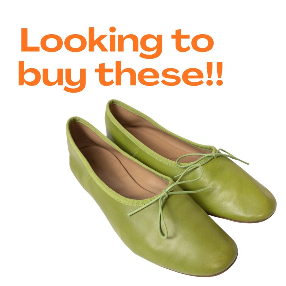 LOOKING for Mansur Gavriel Green Flats